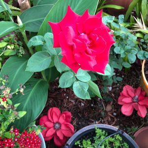 Meet your Posher, Angie